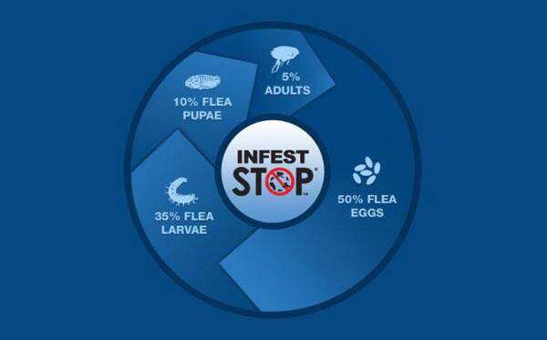 Flea & Tick Prevention Education | ADAMS™