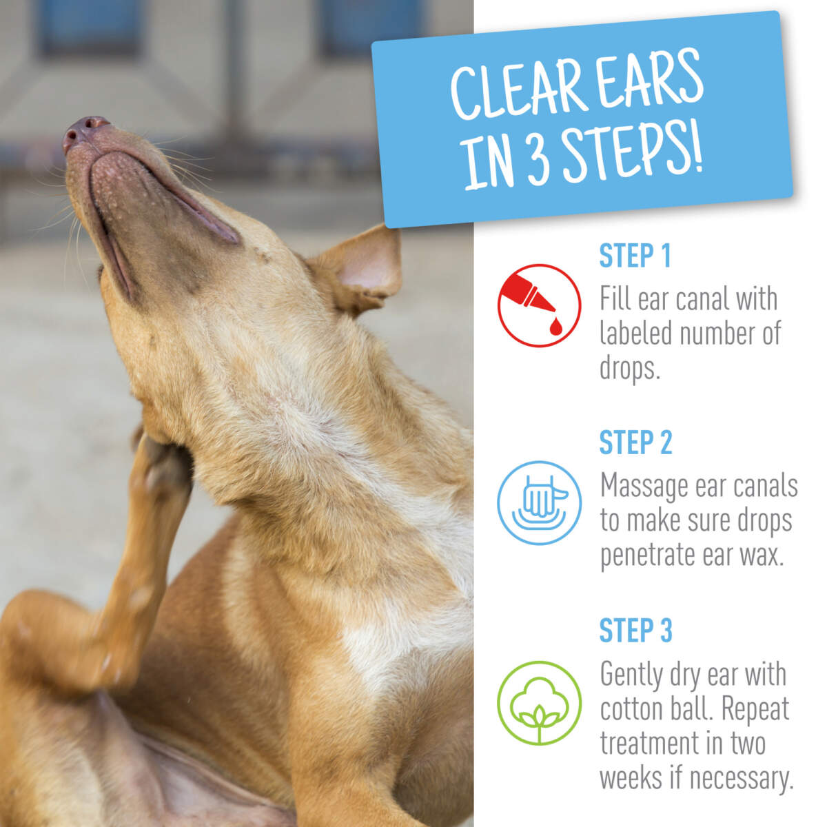 is it normal for dogs to have ear wax