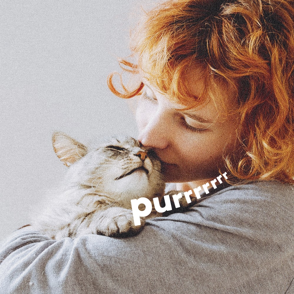 Woman hugging light grey cat