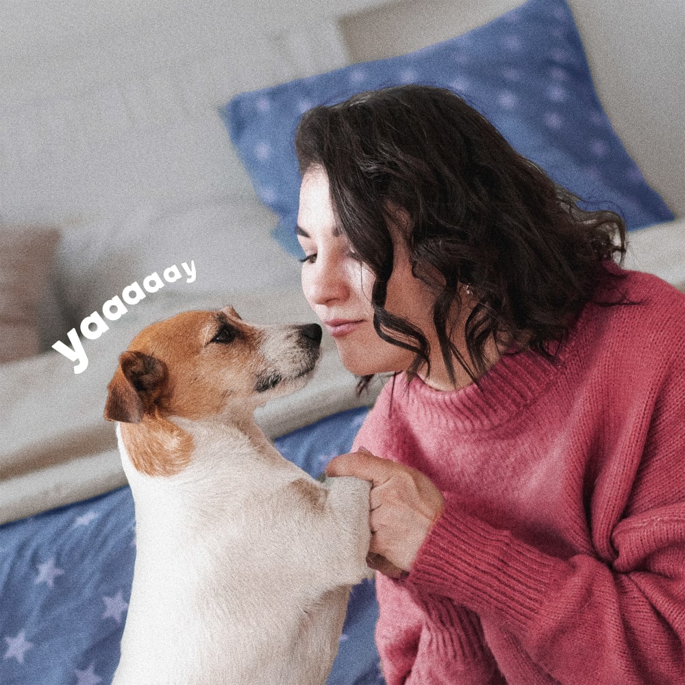 Brown haired woman with small white and brown dog