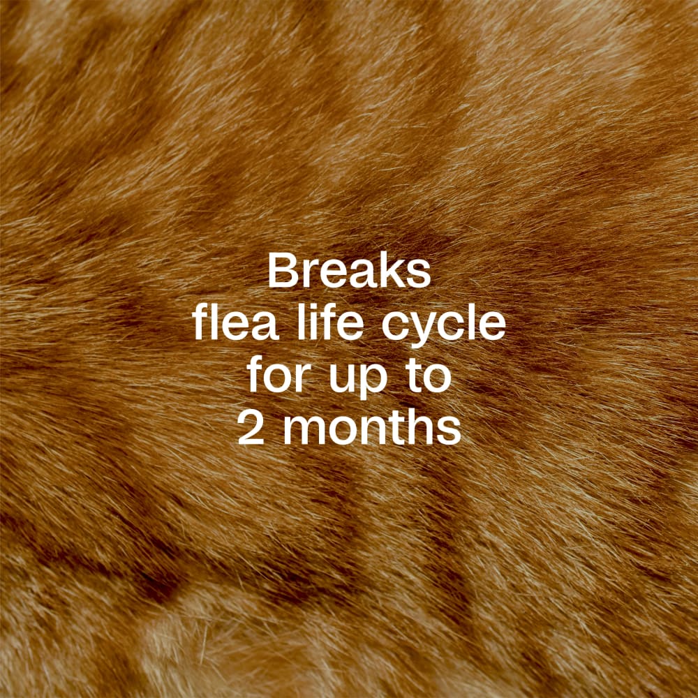 Breaks the flea life cycle for up to 2 months