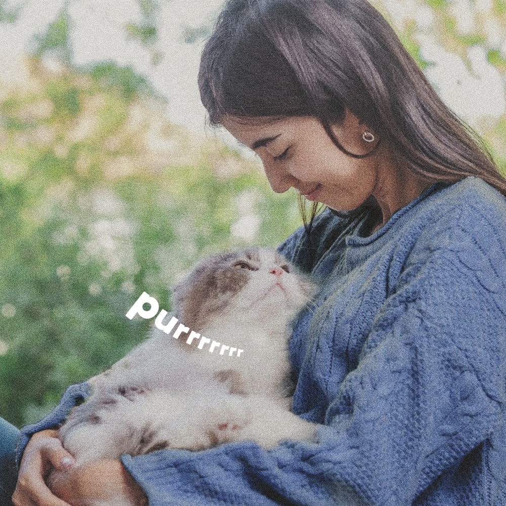 Woman hugging a fluffy cat outdoors