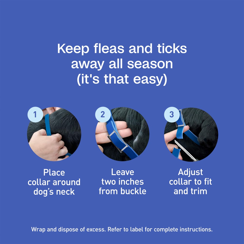 Keep fleas and ticks away all season, it is that easy