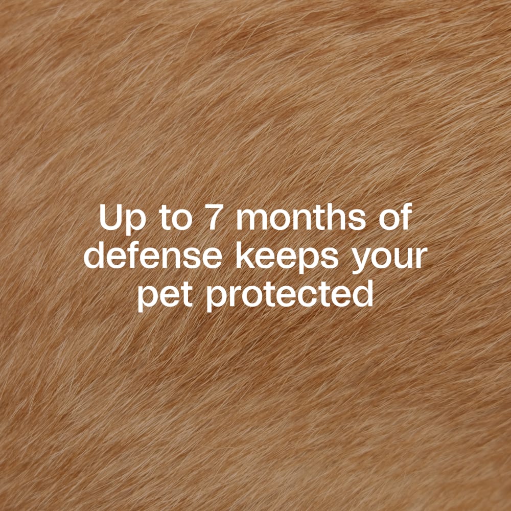 Up to 7 months of defenses keeps your pet protected