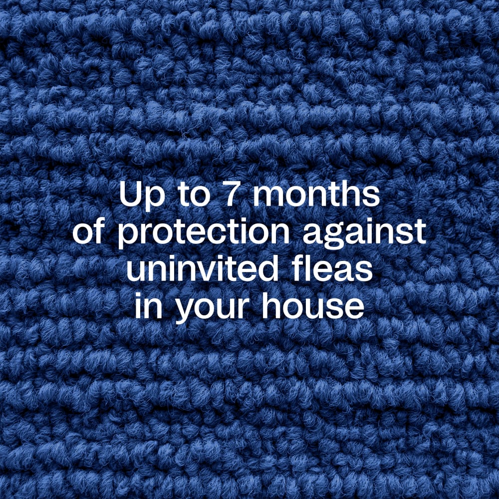 Up to seven months of protection against uninvited fleas in your house