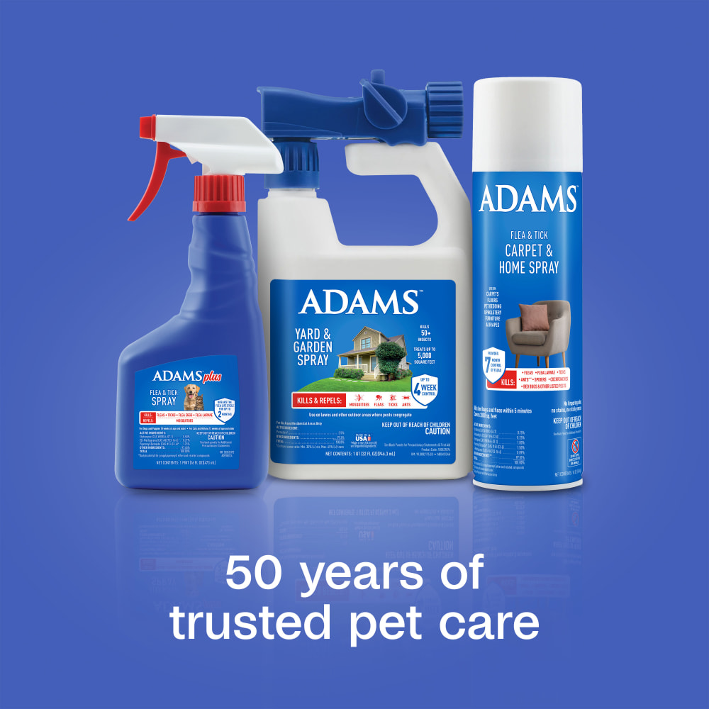 sapm100526563-lifestyle02