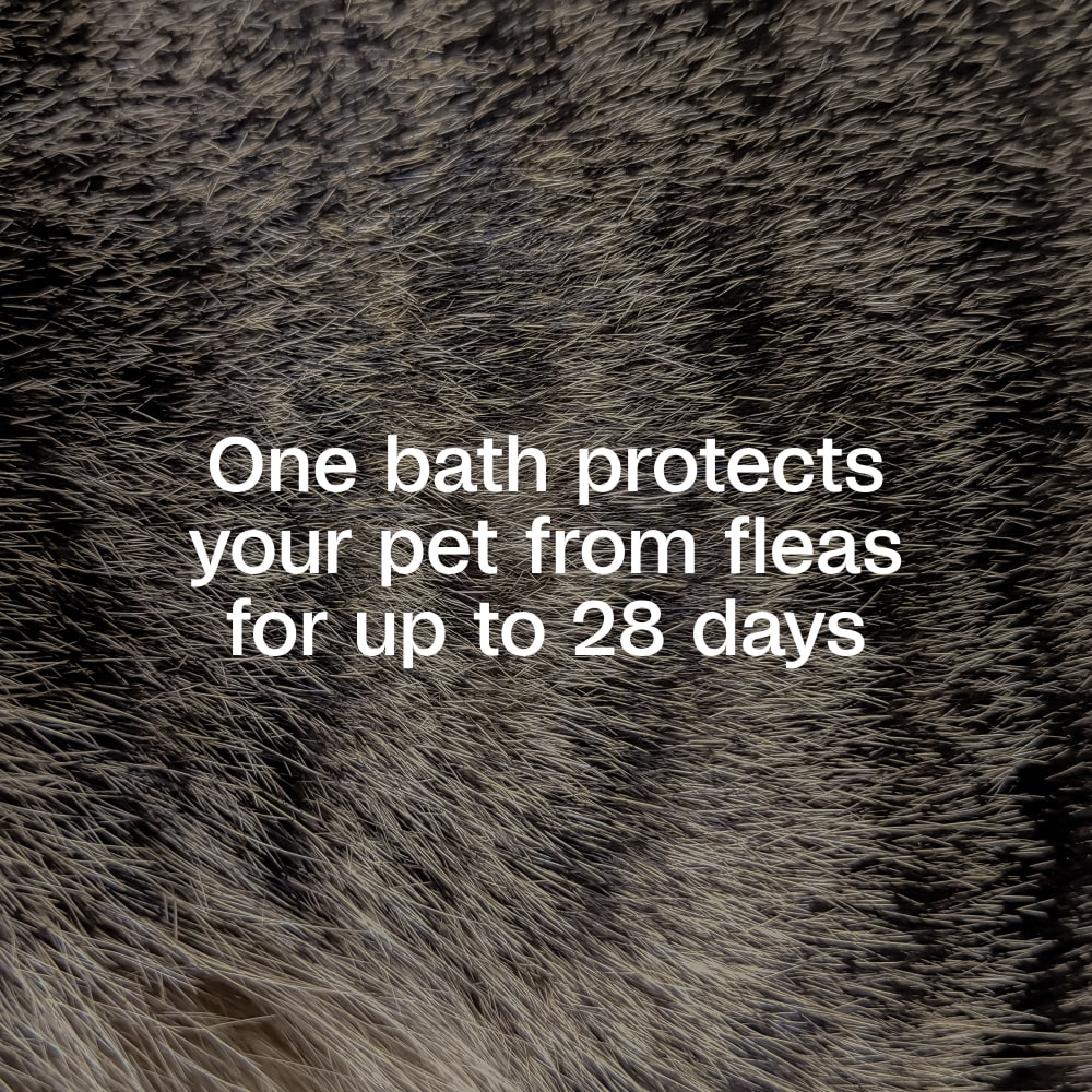 One bath protects your pet form fleas for up to 28 days