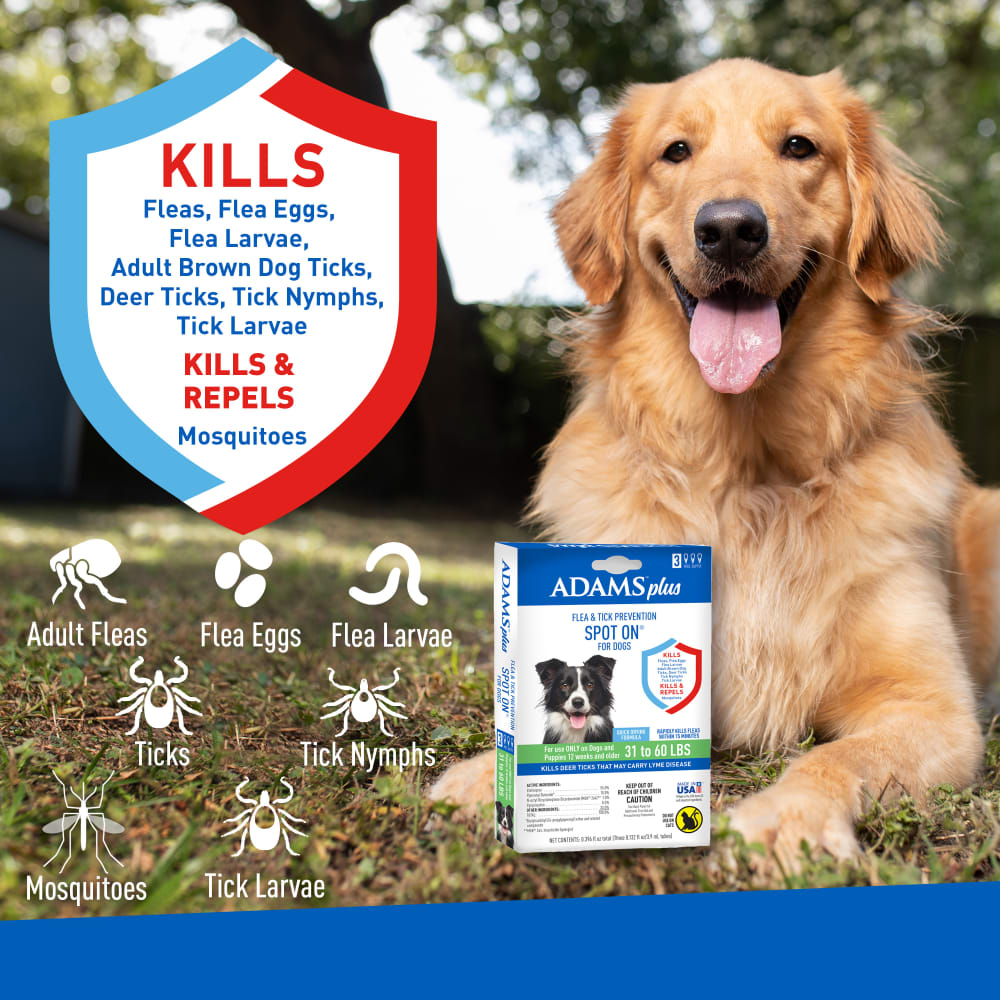 100542203-prevention-spot-on-large-dog-atf-pt-01-v2