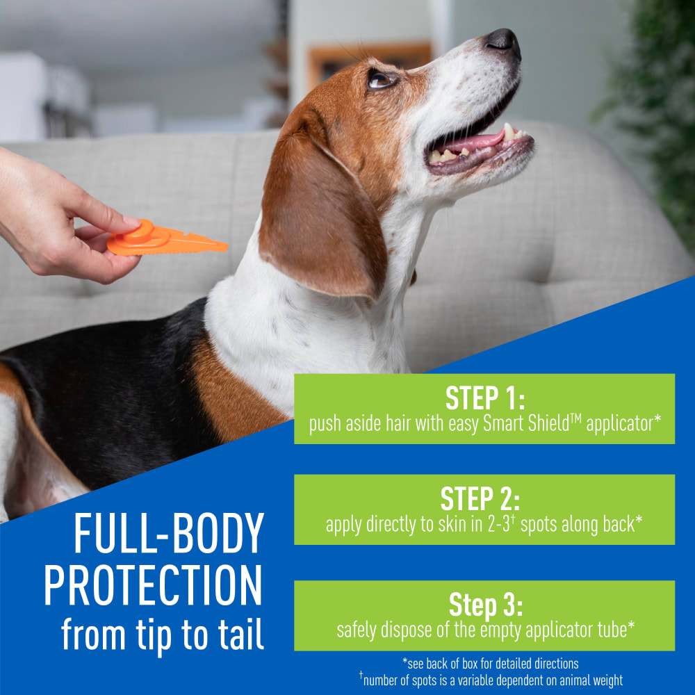 100542204-prevention-spoton-medium-atf-pt-02-v2