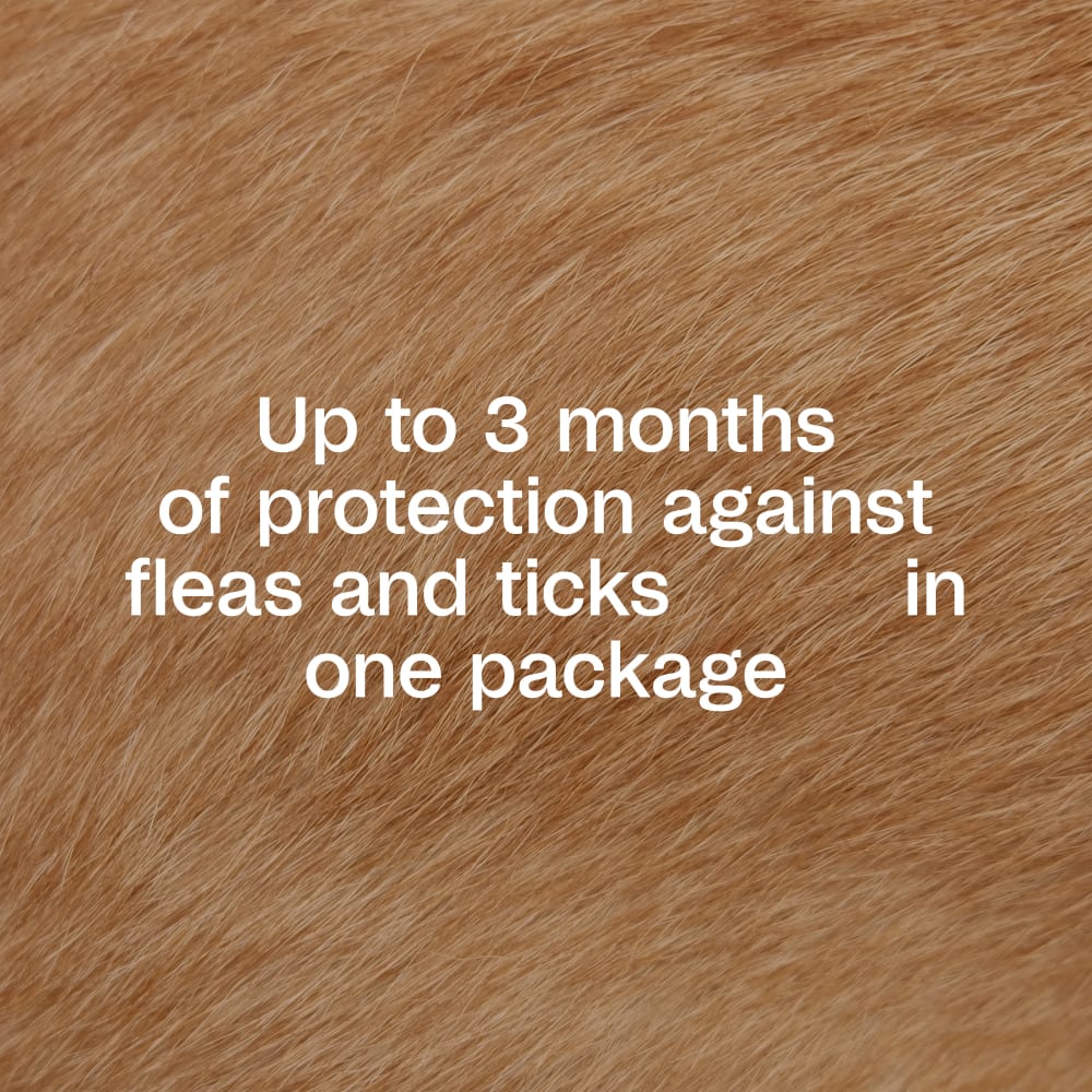 dogfur-protection-infographic02