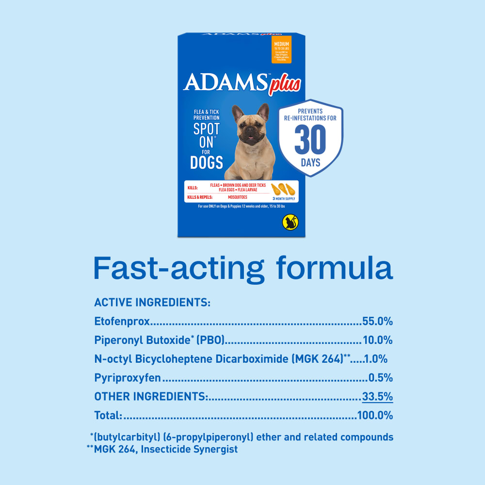 sapm100542204-infographic06
