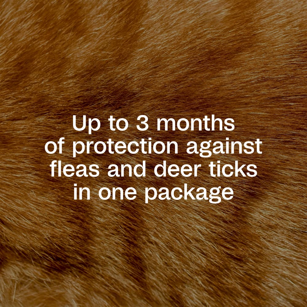 sapm100543855-infographic02