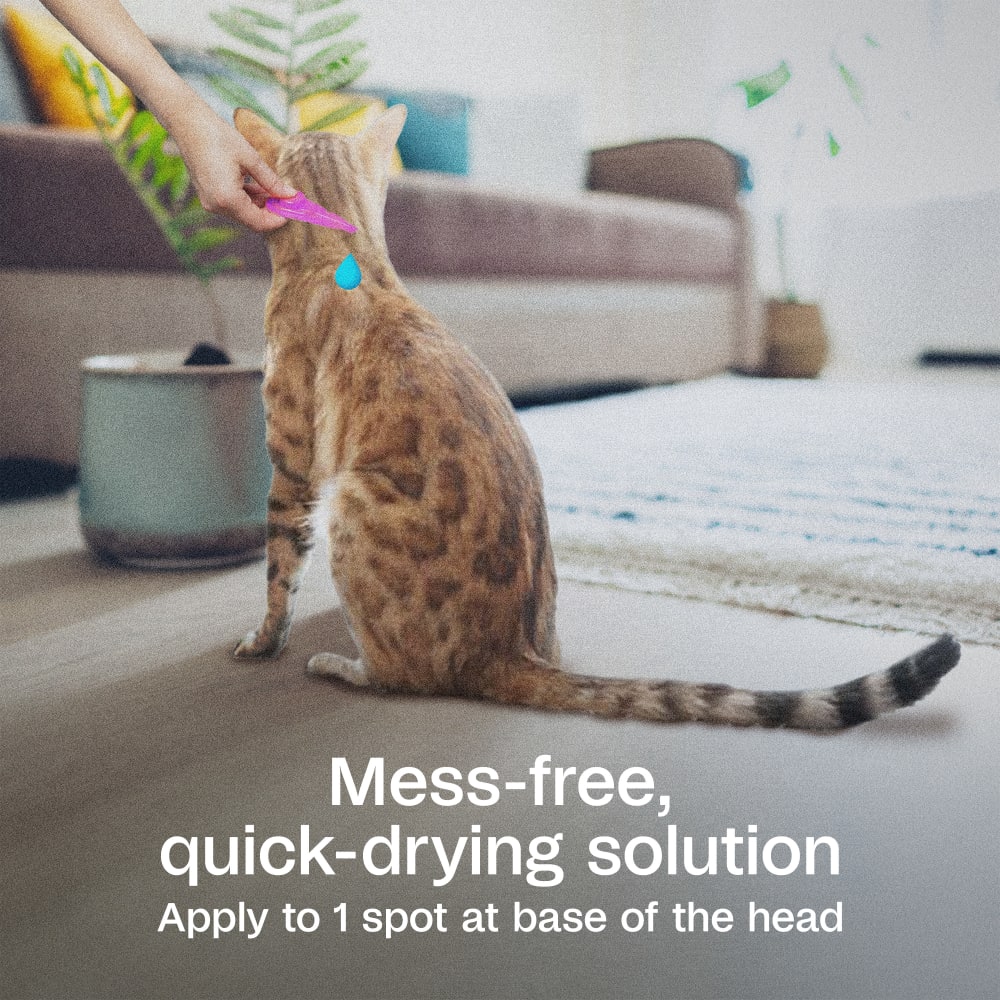 sapm100543855-infographic03