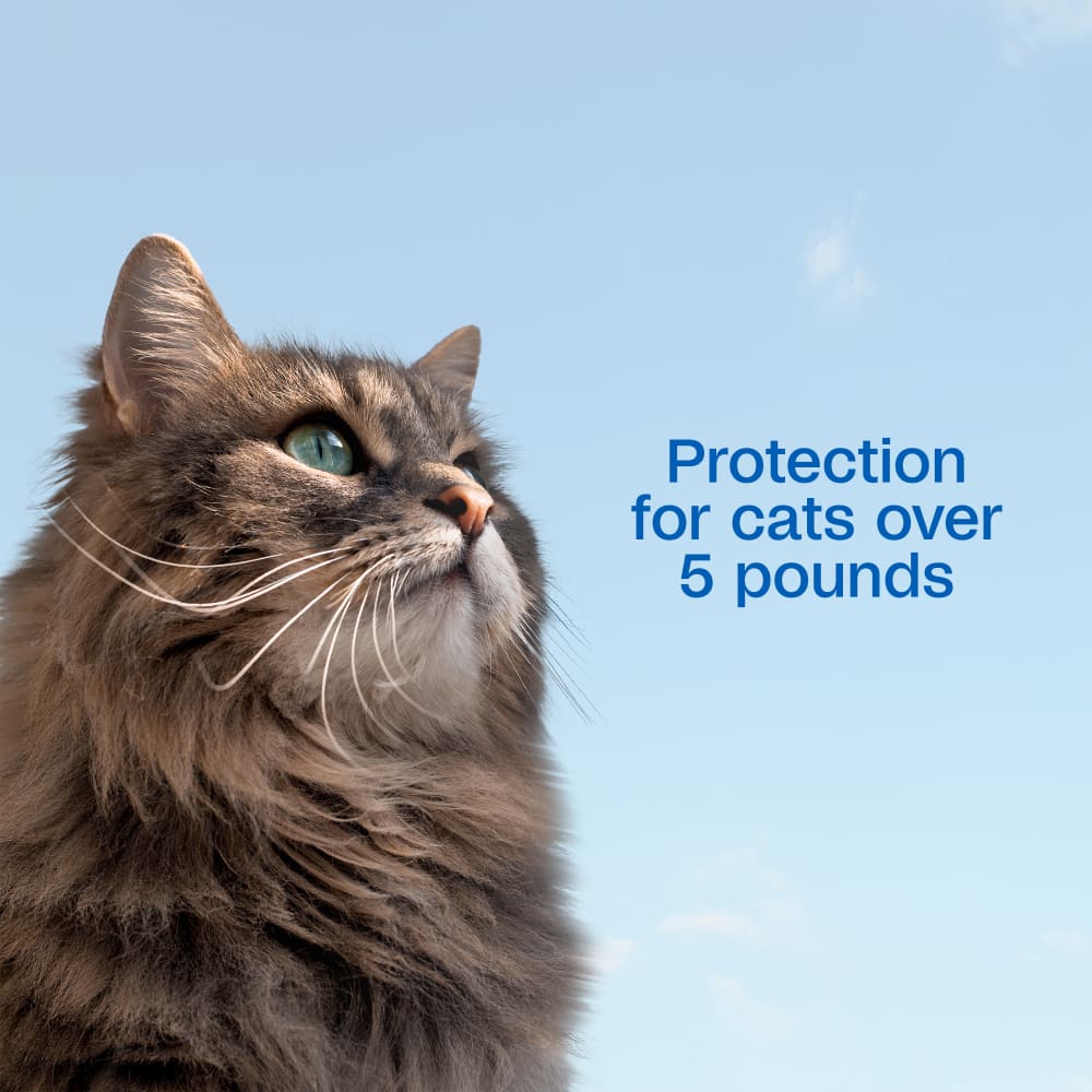 sapm100543855-infographic04