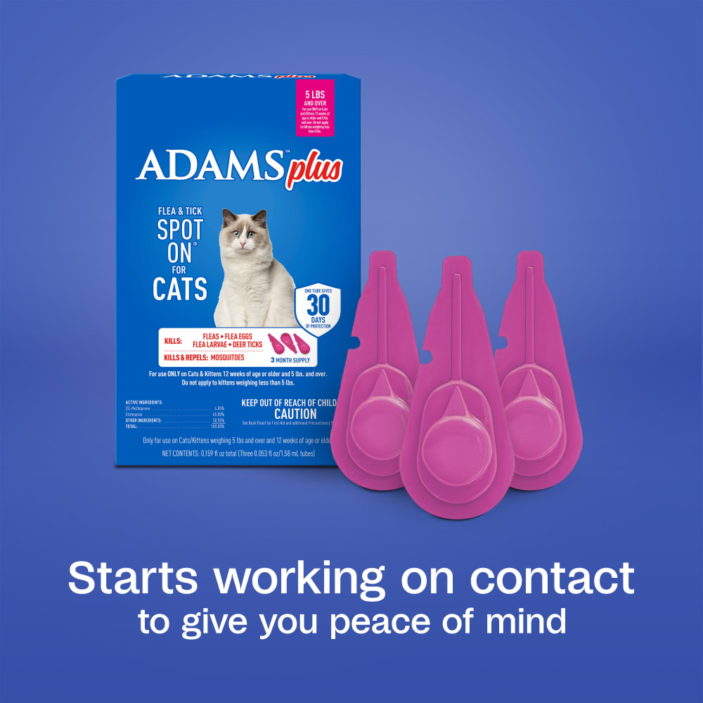 sapm100543855-infographic05