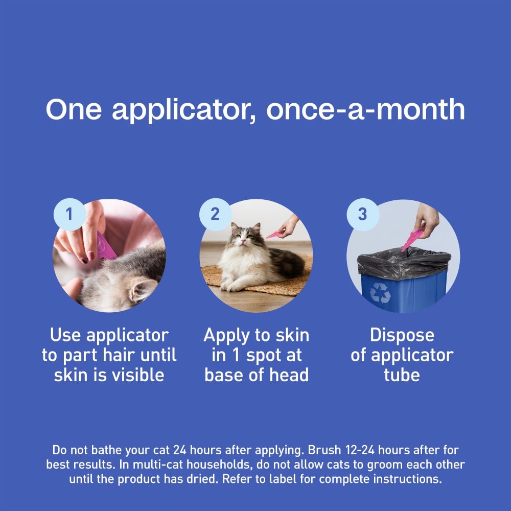 sapm100543855-infographic07