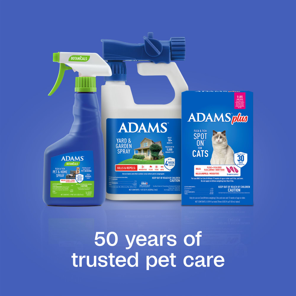 sapm100543855-lifestyle02