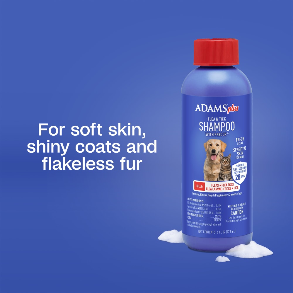 For soft skin, shiny coats and flakeless fur
