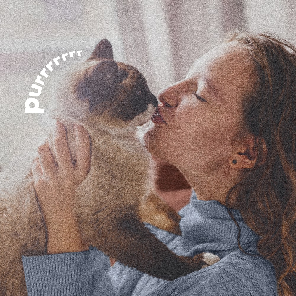 Brown haired woman kisses siamese cat