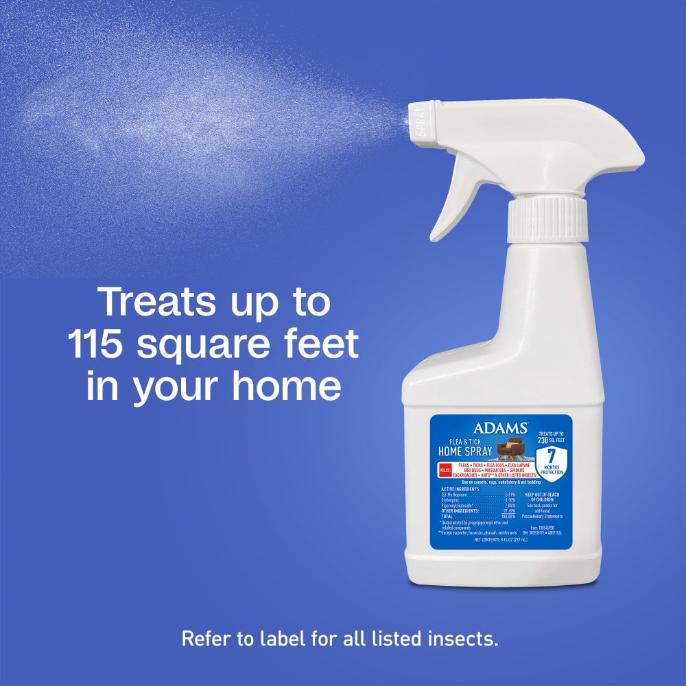 Treats up to 115 square feet in your home