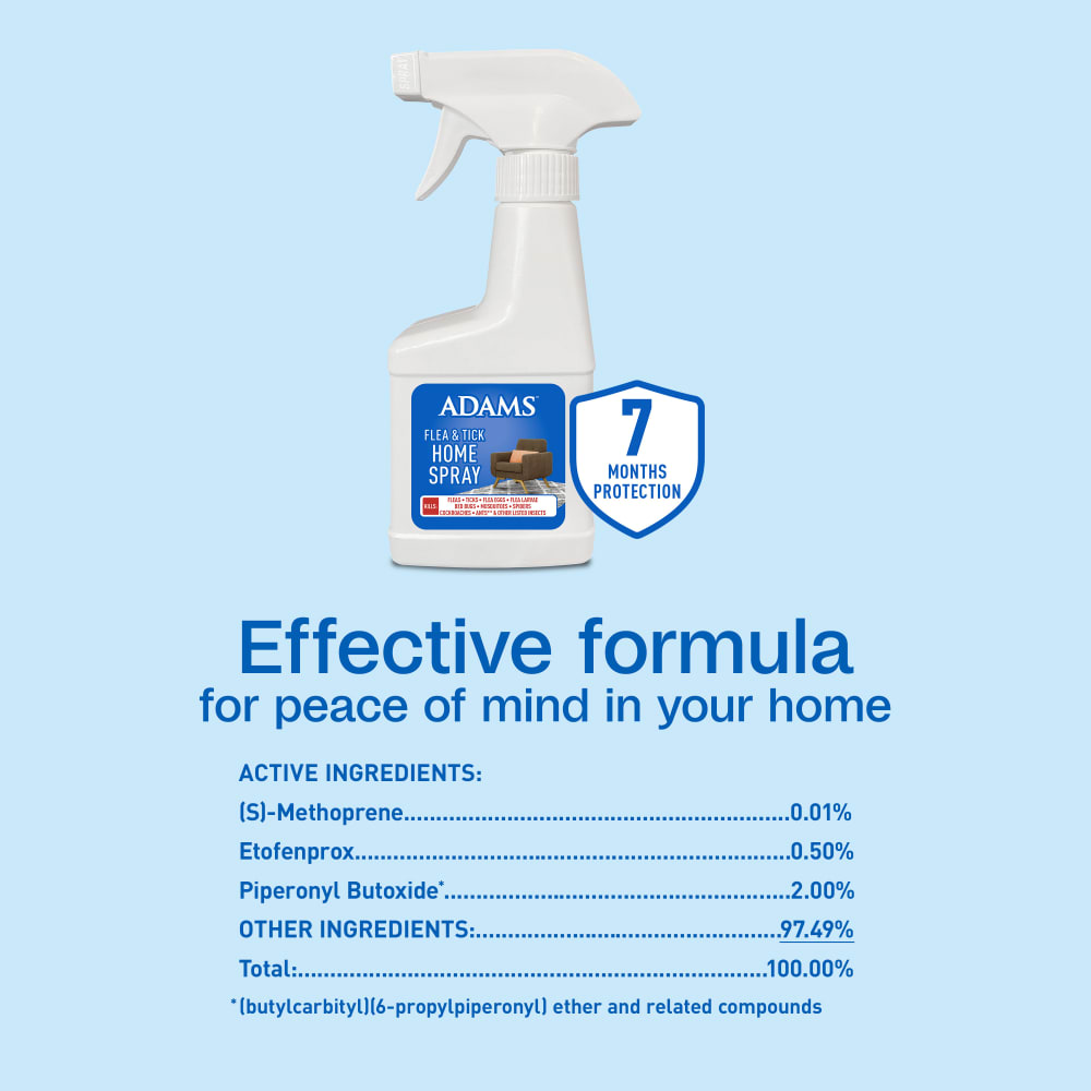 Effective formula for peace of mind in your home