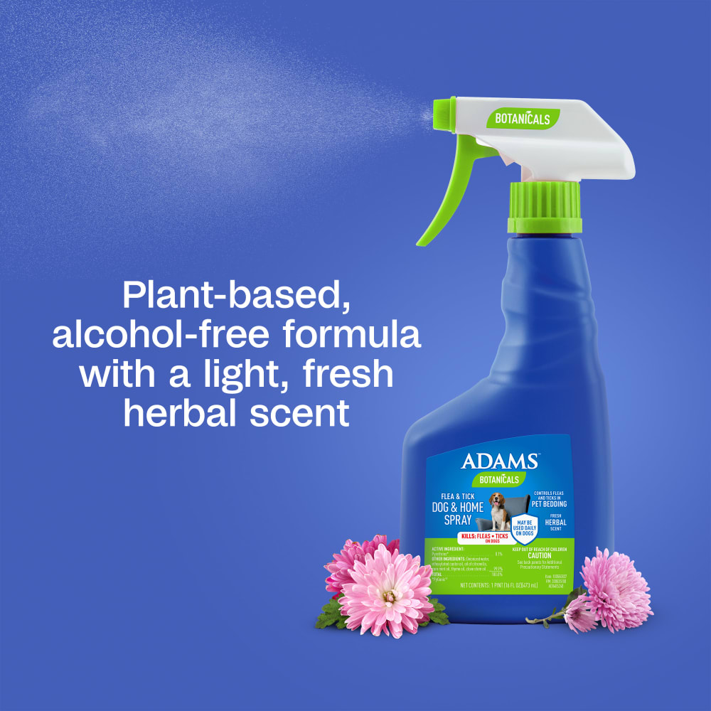 Plant-based, alcohol-free formula with a light, fresh herbal scent
