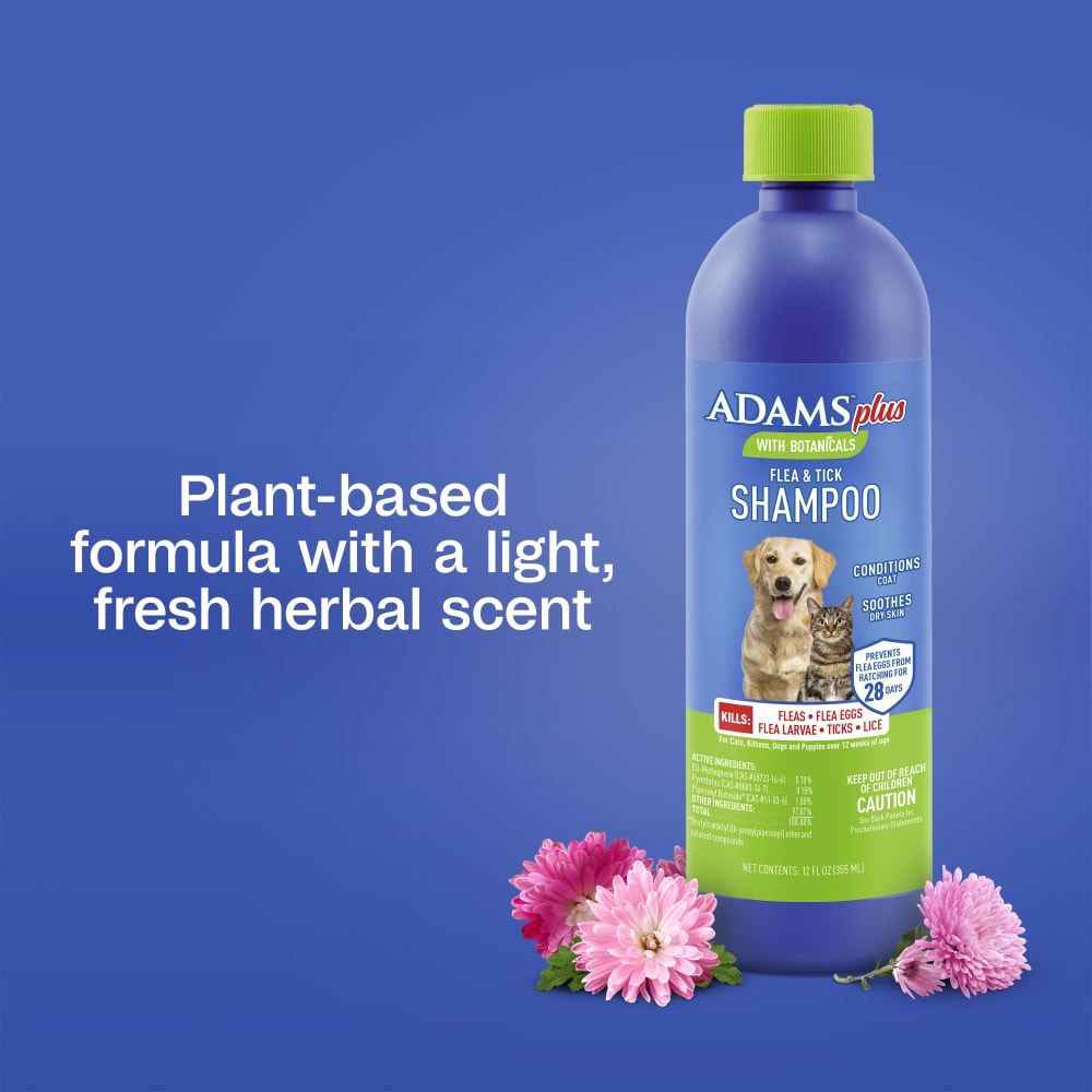 Plant-based formula with a light fresh herbal scent