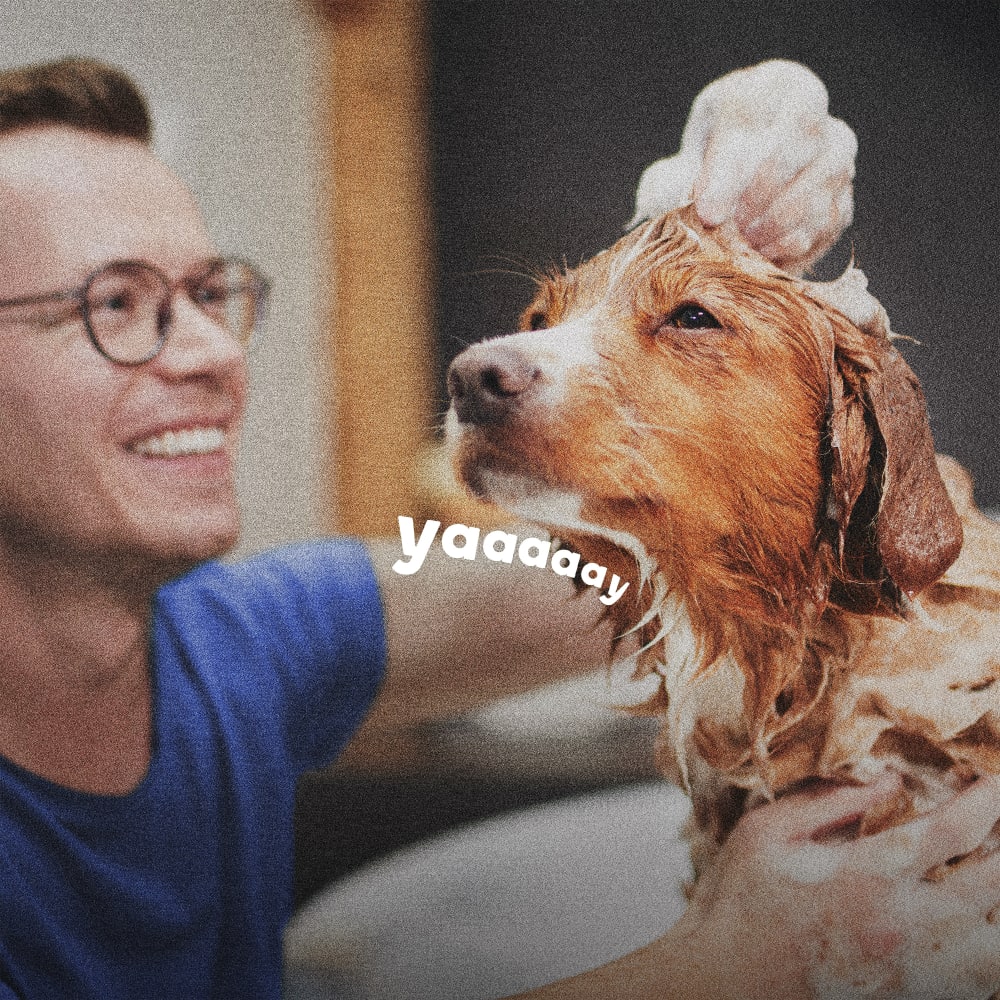 Brown haired man in blue shirt bathing his dog