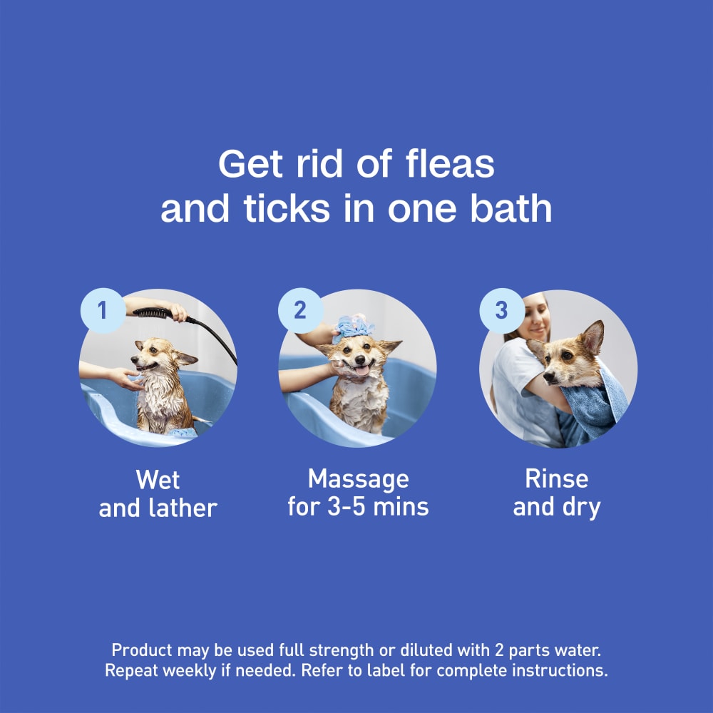 Get rid of fleas and ticks in one bath