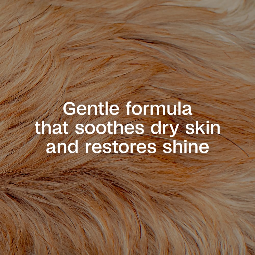 Gentle formula that soothes dry skin and restores shine