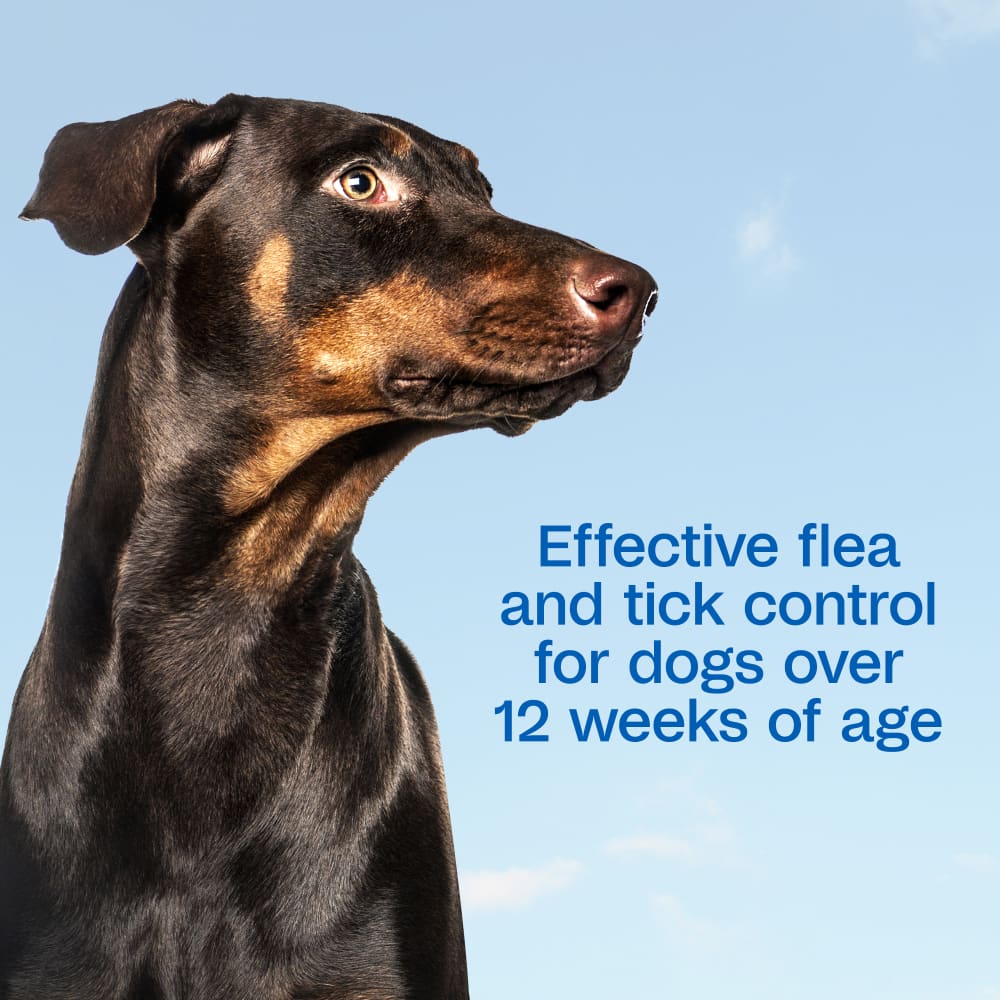 Effective flea & tick control for dogs over 12 weeks of age