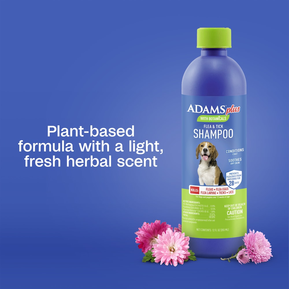 Plant-based formula with a light fresh herbal scent