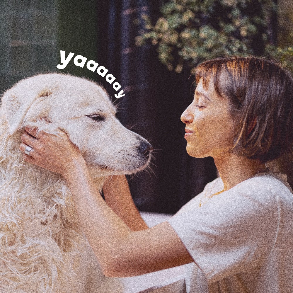 Young woman bathing her golden retriever