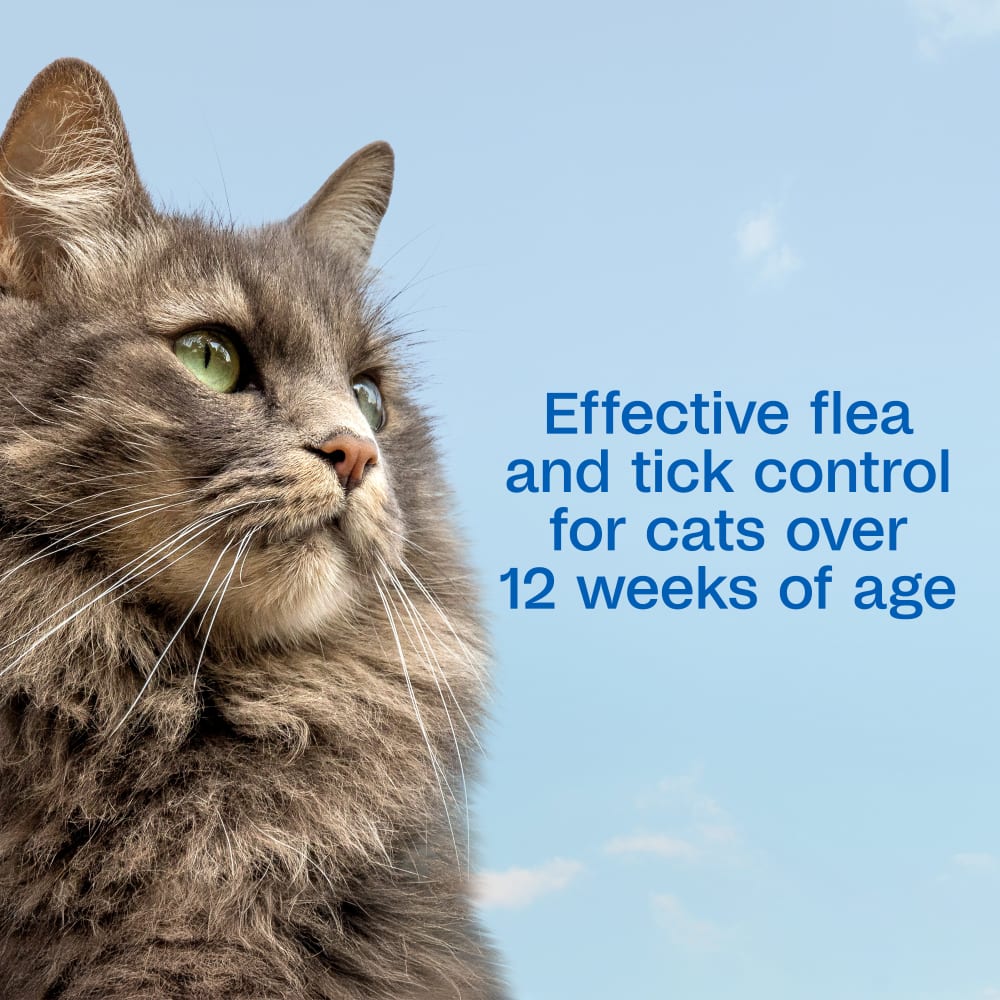Effective flea & tick control for cats over 12 weeks of age