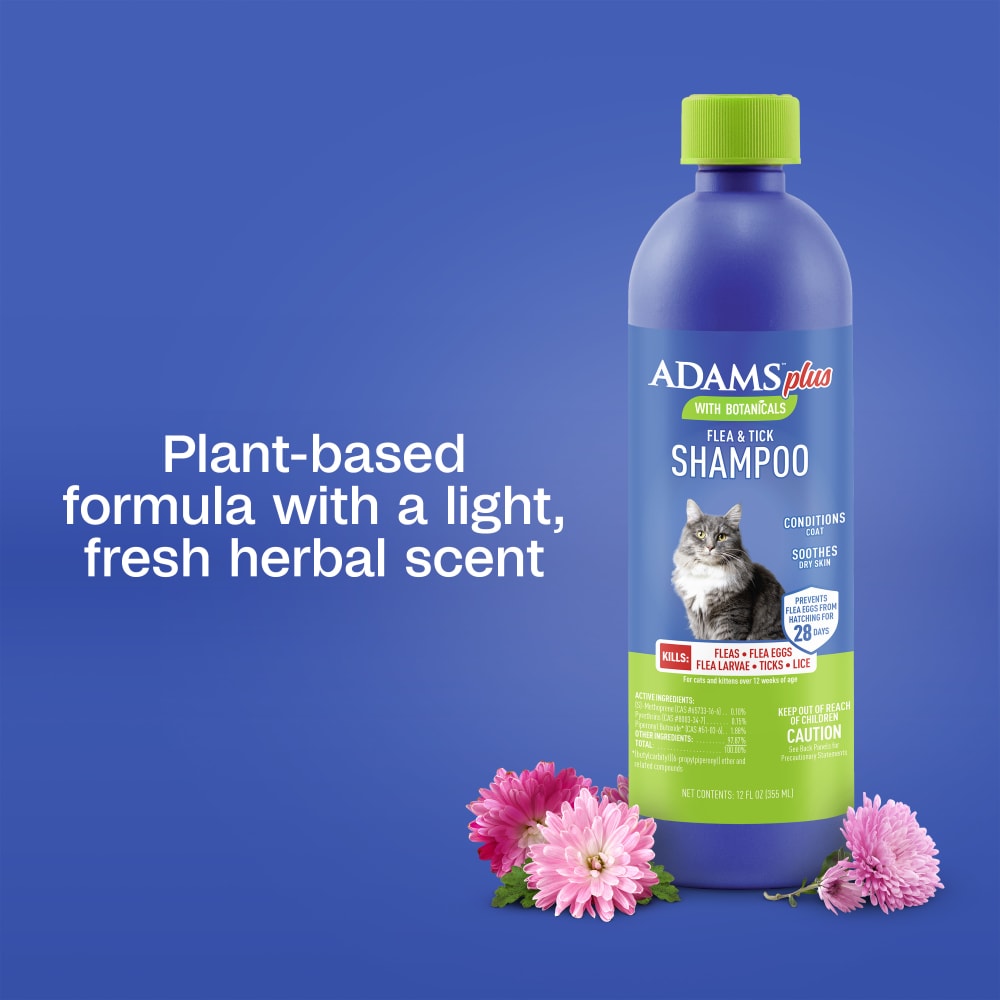 Plant-based formula with a light fresh herbal scent