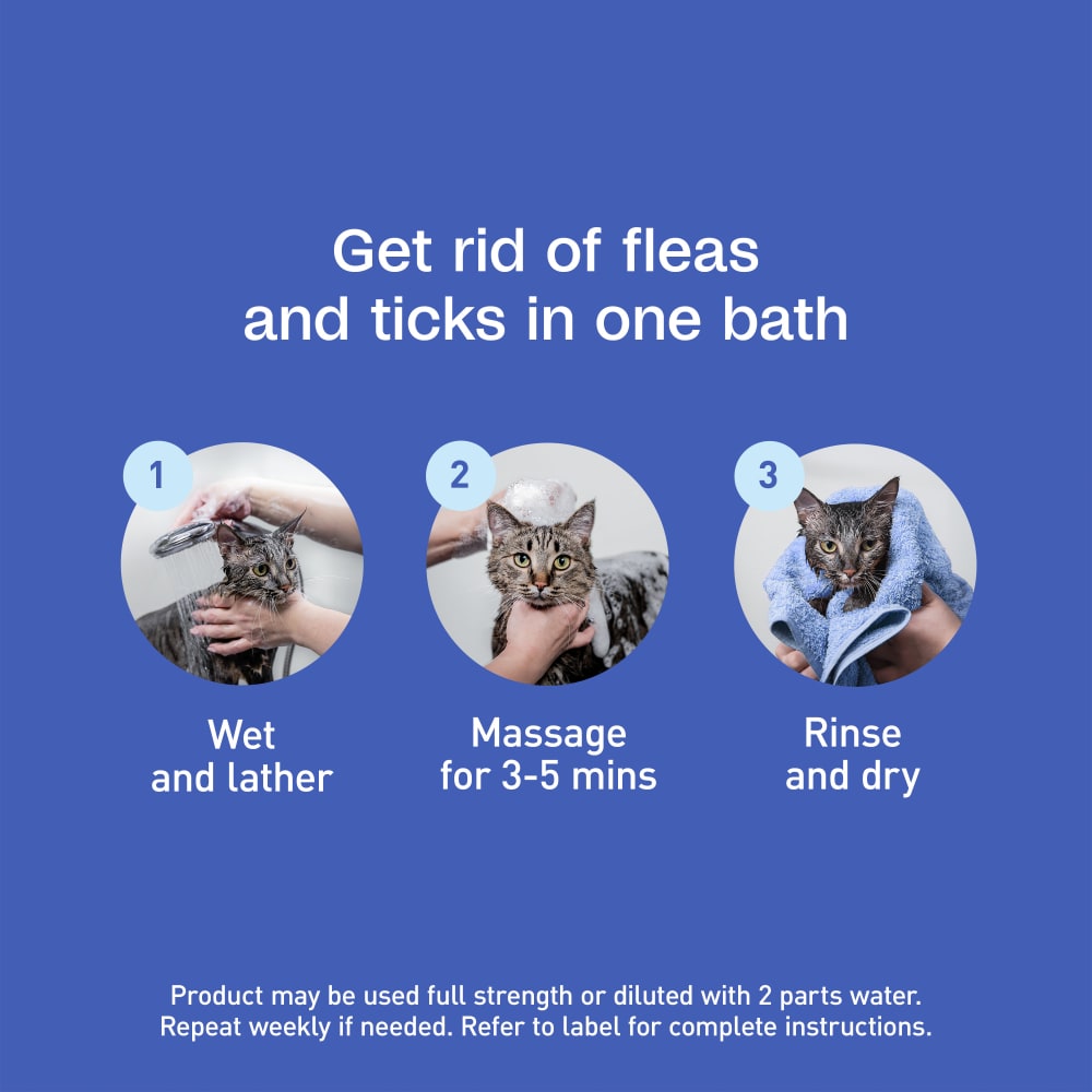 Get rid of fleas and ticks in one bath