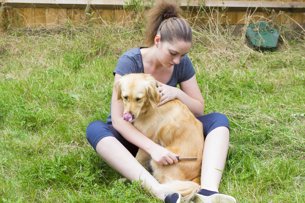 Yes, You Can Have a Clean Girl Household With Multiple Pets